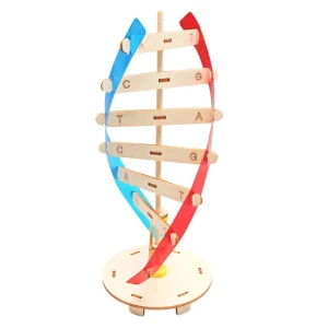 Gör-det-själv vetenskapsprojekt – DIY STEM-leksak för barn