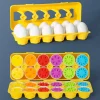 12Pcs digit Eggs