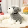 Schnauzer