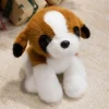 Saint Bernard