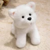 Samoyed