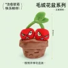 005-Cherry Bomb