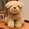 Teddy nnx
