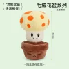 002-Sun-shroom