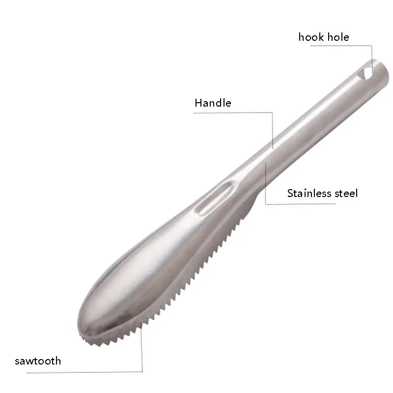 Fiskfjällssrapa i rostfritt stål med ergonomiskt handtag 2 Fiskfjällssrapa i rostfritt stål med ergonomiskt handtag - Bild 2