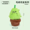 009-Squash