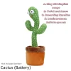 Cactus (Battery)