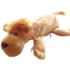lion1