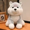 Husky dog nnx