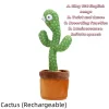 Cactus (USB)