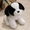 Shepherd Dog