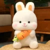 25cm