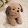 Labrador