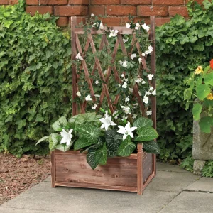 Upphöjd odlingslåda i trä med spaljé för örter och blommor