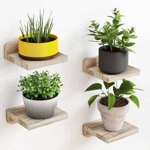 4-pack små flytande vägghyllor i trä, mini displayhyllor