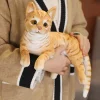 MIAOOWA kattgosedjur 29 cm – amerikansk korthårskatt eller siamesisk katt