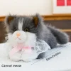 Grey1-with Bib