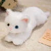 Benchuang Toy kattgosedjur 40–50 cm – mjuk plyschkudde i anime-stil