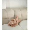 Pink crocodile