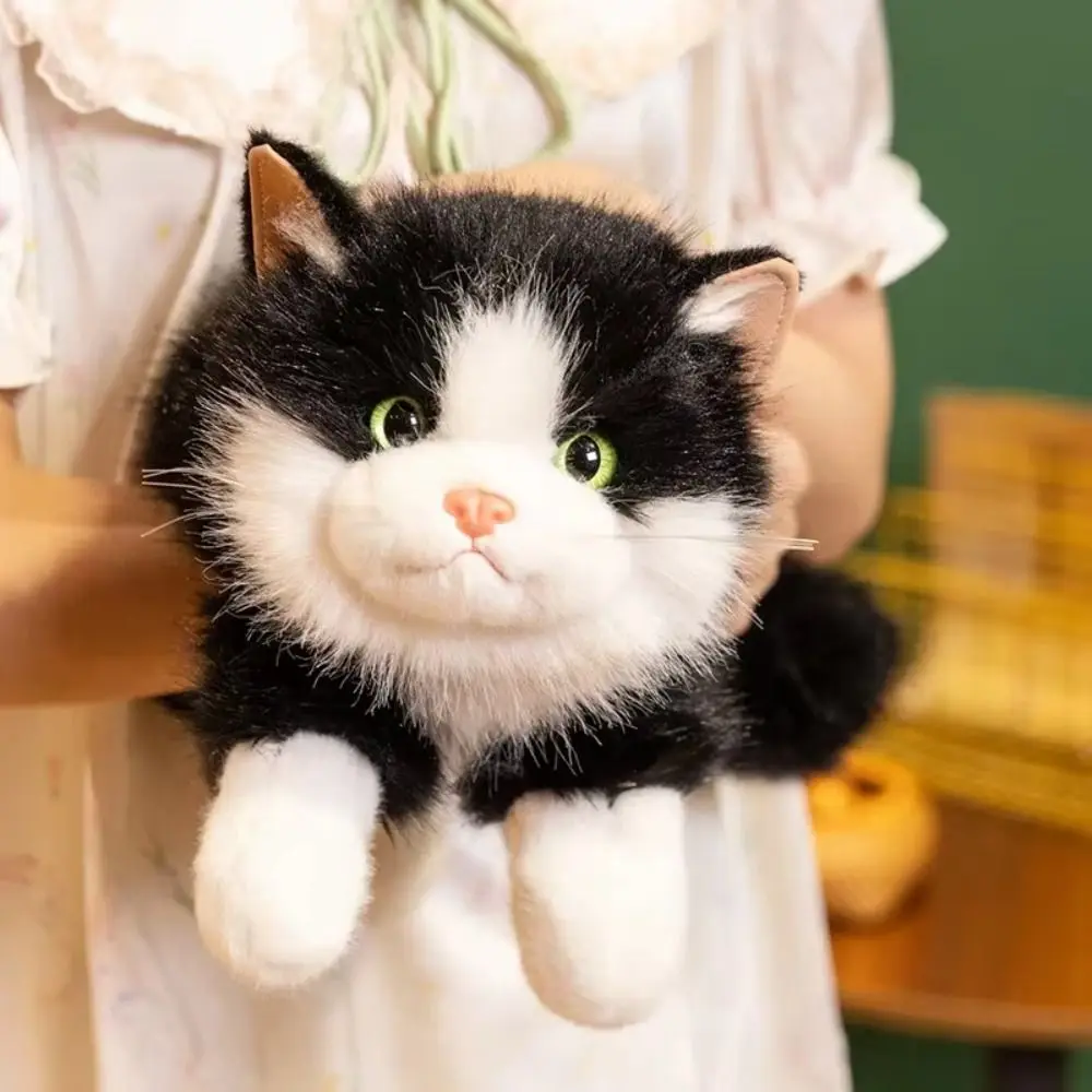 Fluffigt kattgosedjur 40 cm med röstfunktion – vit, svart, brun eller grå 5 Fluffigt kattgosedjur 40 cm med röstfunktion – vit, svart, brun eller grå - Bild 5