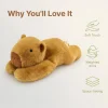 capybara-1kg