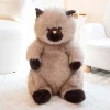 Light brown cat
