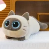 Siamese cat