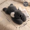 koala-1kg