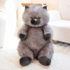 Grey cat