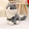 Grey cat