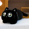 Black cat