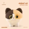calico cat