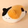 calico cat