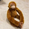 Orangutan single