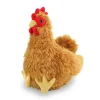 brown hen yp