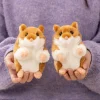 2pc hamster