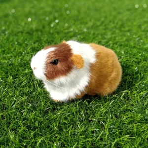 Gris och hamster gosedjur, verklighetstrogen och söt