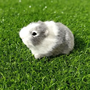 Gris och hamster gosedjur, verklighetstrogen och söt
