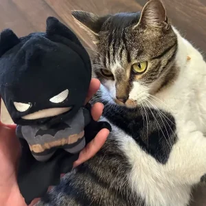 Batman-karaktärer i söt tecknad stil som hängande gosedjur med tryck, 10 cm