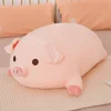 yuanyan