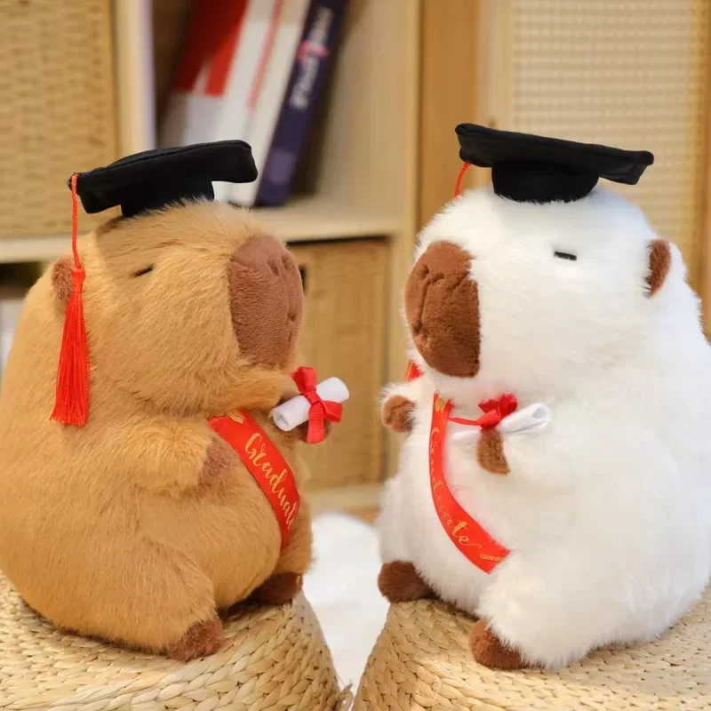 Djurfigurer gosedjur som plyschkudde, Graduate-themed och Doctor-themed 2 Djurfigurer gosedjur som plyschkudde, Graduate-themed och Doctor-themed - Bild 2