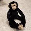 1 Black Orangutan