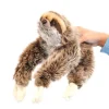sloths