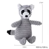 raccoon