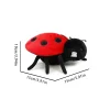 Ladybug