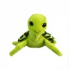 Green tortoise