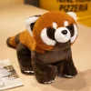 60cm Stand raccoon