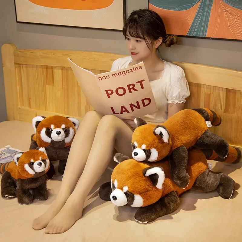 Naturtroget panda gosedjur i form av röd panda och tvättbjörn, söt present för barn 26 Ett barn läser tillsammans med mjuka röda pandor.