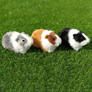 Gris och hamster gosedjur, verklighetstrogen och söt