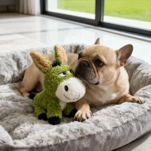 Hund som hundleksak, mjuk and comfortable och Chew-resistant